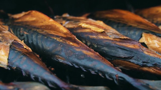 Smocked scomber cooking in the smokehouse. BBQ.