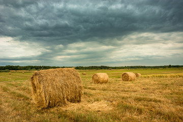 Fototapeta na wymiar Hay bales in the field, forest on the horizon and dark clouds