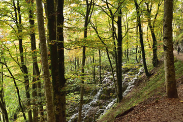 Landscape in the beautiful Plitvice National Park, in Croatia, in the fall