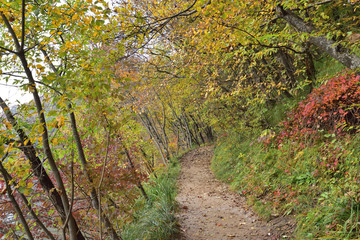 Landscape in the beautiful Plitvice National Park, in Croatia, in the fall