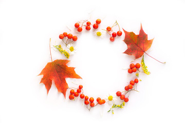 Autumn composition. Wreath made of autumn flowers, berries, leaves on white background. Flat lay. Top view. Copy space 
