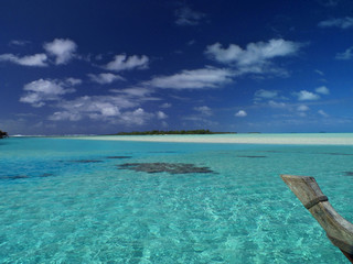 Blue Dream Polynesia