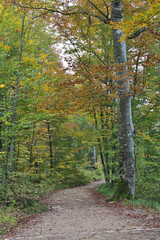 Landscape in Plitvice National Park, Croatia, in the fall
