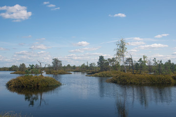 Lakes of Yelnya swamp - National Landscape Reserve, Belarus