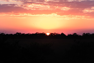 Pantanal Sunset 03