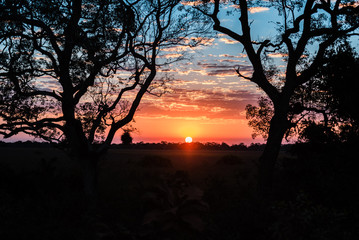 Pantanal Sunset 02