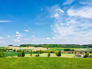 landscape with field and blue sky