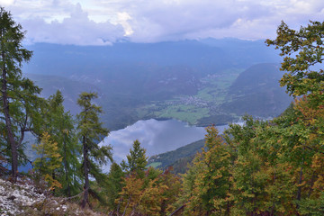 Obraz premium Landscape in Slovenia, in the fall, with colorful trees