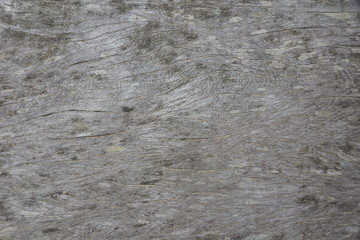 Oak 07