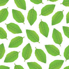 leaves pattern 2