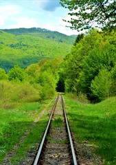 Fototapeta premium railway in the countryside