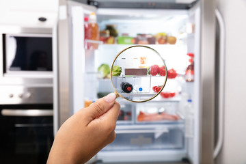 Woman Looking Refrigerator Through Magnifying Glass