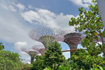 Garden of the Bay Singapur