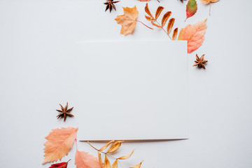 Autumn greeting card, thanksgiving day. White mockup paper sheet with foliage decoration on white...