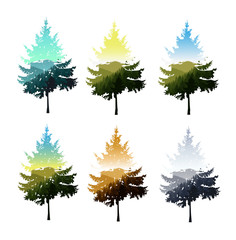 Silhouettes of coniferous tree with double exposure of nature panorama. Seasons.