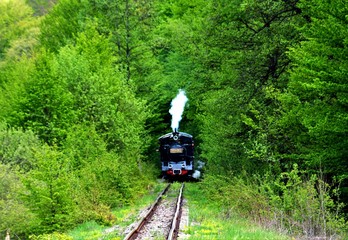 The narrow gauge train with tourists from Sovata resort - Romania 
