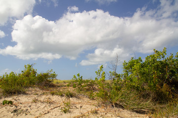 Life in dunes