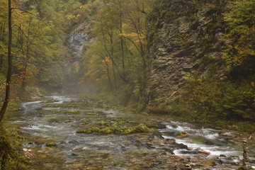 Landscape in Slovenia, in the fall, with colorful trees