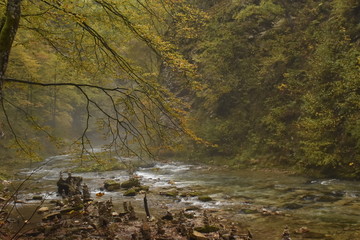 Landscape in Slovenia, in the fall, with colorful trees