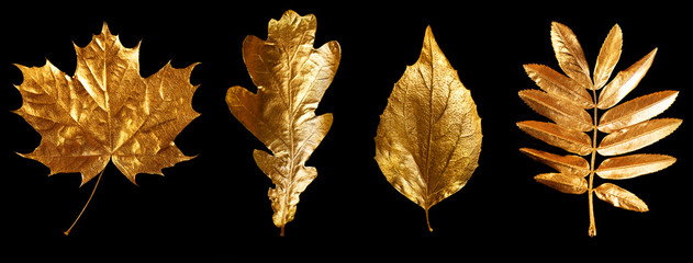 autumn composition of different Golden leaves and letters on black background