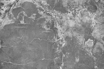 grey background wall (concrete).