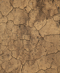 cracked earth.