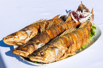 Plate with three pike-perch fish