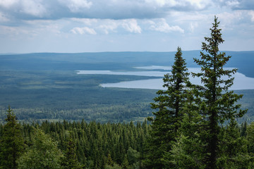landscape of a mountain river and wild forest from a bird's eye view