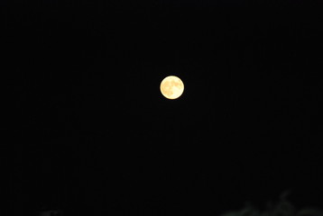 Full Moon Portrait, Yellow Moon