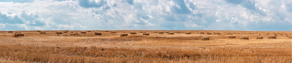 Panorama of a large field on which bales of straw lie