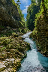 The rapid flow of the Radovna River. A shot againts the sun.