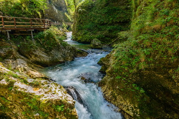 The rapid flow of the Radovna River.  Vintgar gorge, Bled, Slovenia.