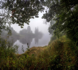 Plakat misty morning on the river