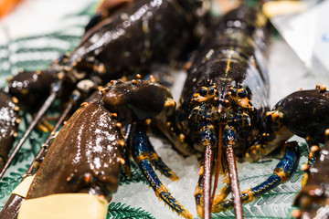 Close up food photo of a raw seafood lobster at the farmers market stall