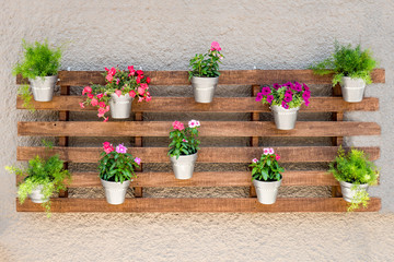 Pallets second life. Lifehack. Potted plants hanging on wooden background. Plants and flowers in...