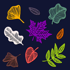 Hand drawn vector autumn leaves set