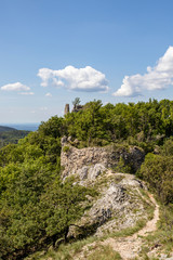 Fototapeta na wymiar Ruins of the castle Ostry Kamen, Little Little Carpathian mountains (Slovakia)