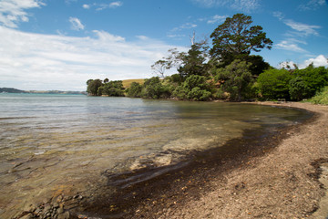 Fototapeta na wymiar Algies Bay on Matakana coast near Snells Beach. Sunny day after a storm. Seaweed and debris washed up on shore. Clouds in sky, summers day. Nice small bay sheltered for swimming, boating and water fun