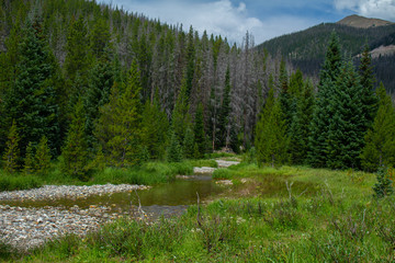 stream in mountains 