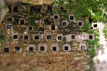 Dove Brick Wall
