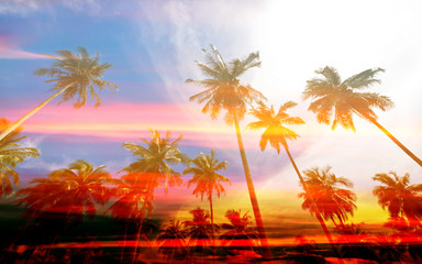 Coconut palm tree with vintage effect for background