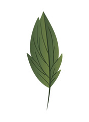 branch with leaf isolated icon