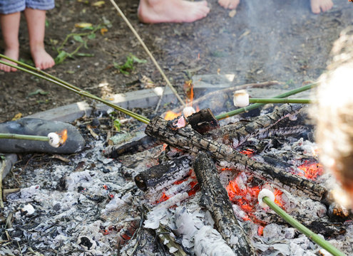 Children roasting marshmallows on an open fire. Free range kids, supervised and free to explore. Image shows childrens feet, bamboo sticks with marshmallows and embers and small logs on fire pit in NZ