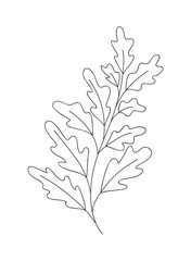 branch with leaves isolated icon