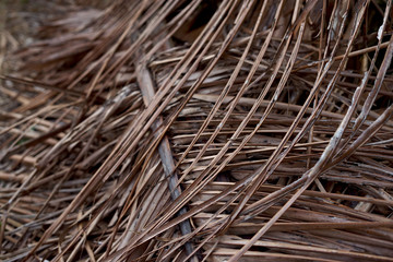 Dried coconut leaves background texture