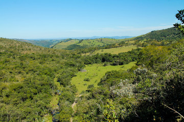 Sunny day in the Cerrado vegetation of Serra da Canastra, Minas Gerais, Brazil. Vibrant blue sky and untouched nature showcase the unique beauty of this tropical savanna biome.