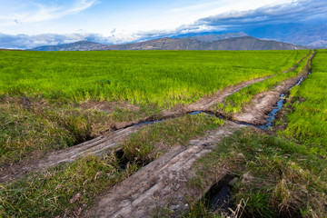 Andean landscape  extensive hillside crops