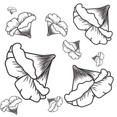 pattern of flowers isolated icon