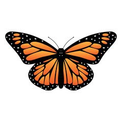 Abtract cute butterfly