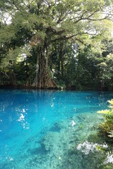 Blue hole in Vanuatu,Santo